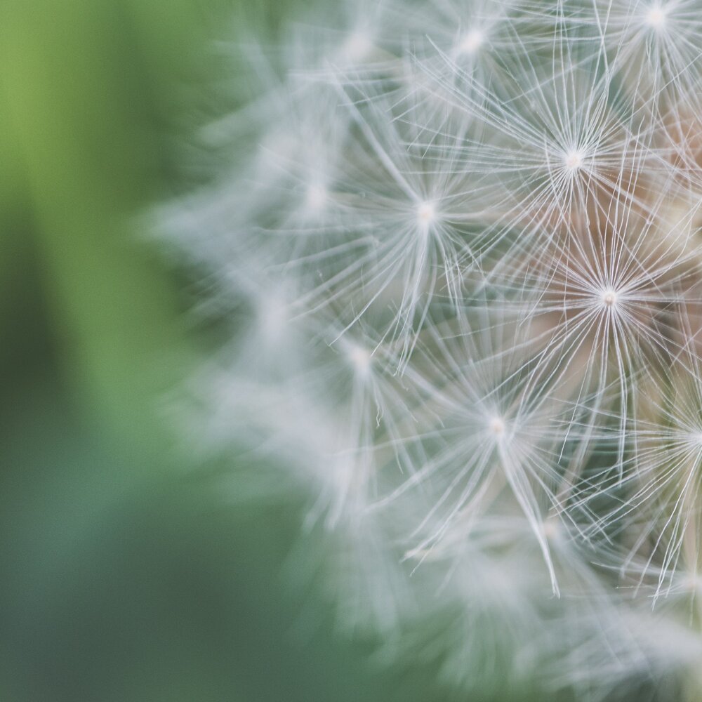 Relatiegerichte Zorg